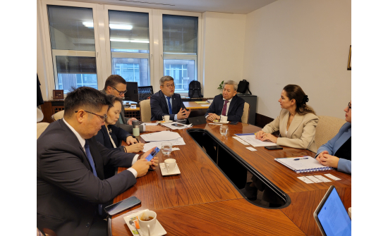 ЭЛЧИН САЙД Л.БОЛД ТӨВ ЕВРОПЫН ЧӨЛӨӨТ ХУДАЛДААНЫ ХЭЛЭЛЦЭЭРИЙН НАРИЙН БИЧГИЙН ДАРГА НАРЫН ГАЗРЫН ЗАХИРАЛ ПРАНВЕРА КАСТРАТИТЭЙ УУЛЗАВ